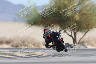 media/Oct-13-2025-Moto Forza (Mon) [[a66d839500]]/3-B Group/Session 4 Turn 4 Tree of Life/